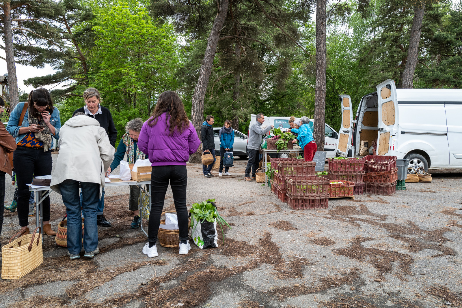 31 mai 2025 : AMAP du Champsaur - Distribution