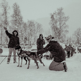 La Valgaude Traineau 2015
