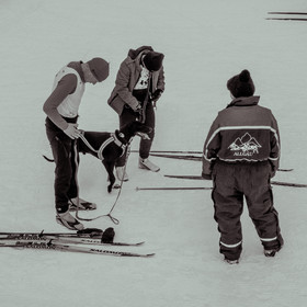 La Valgaude Traineau 2015