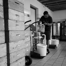 L'extraction du miel