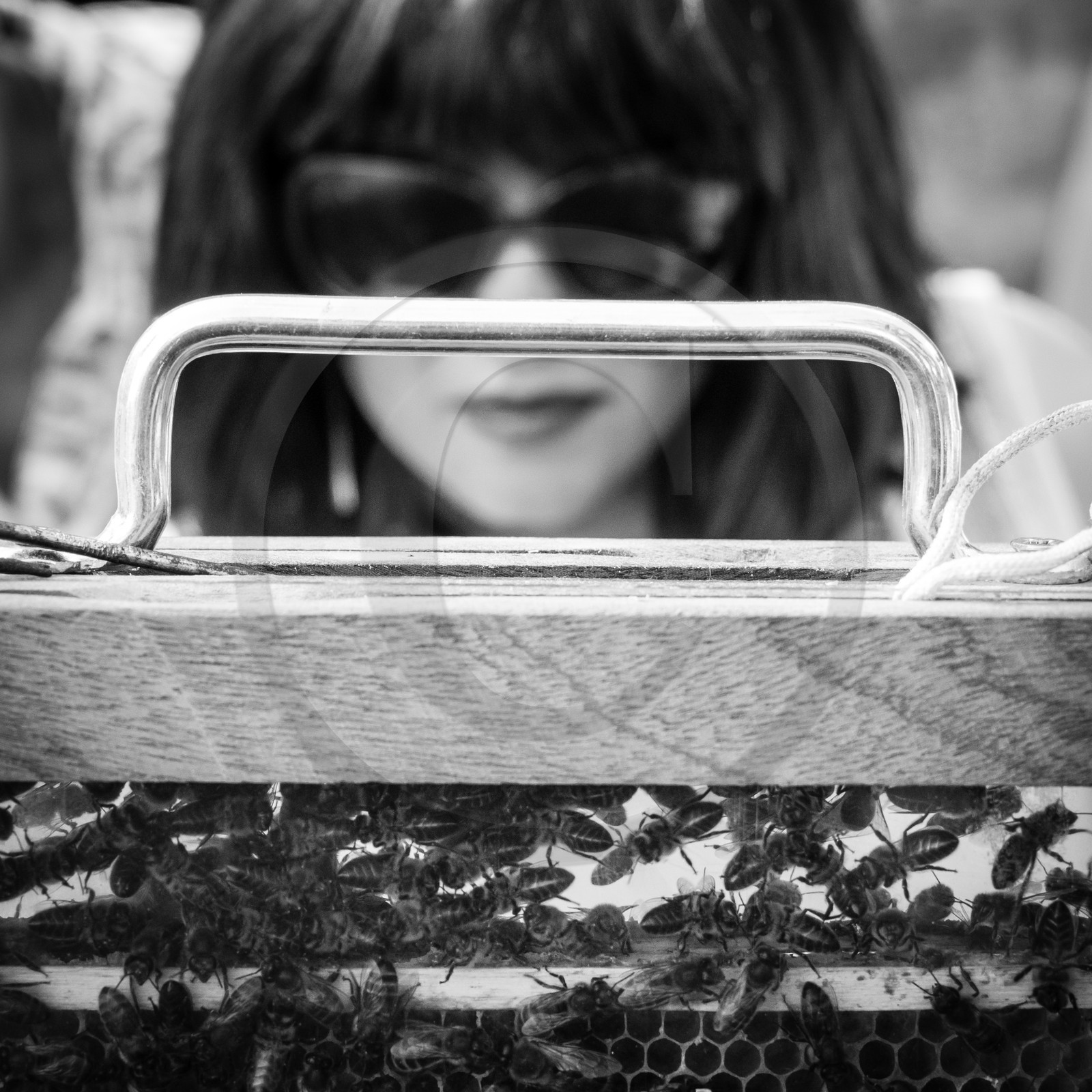 Visite au Rucher des Noisetiers