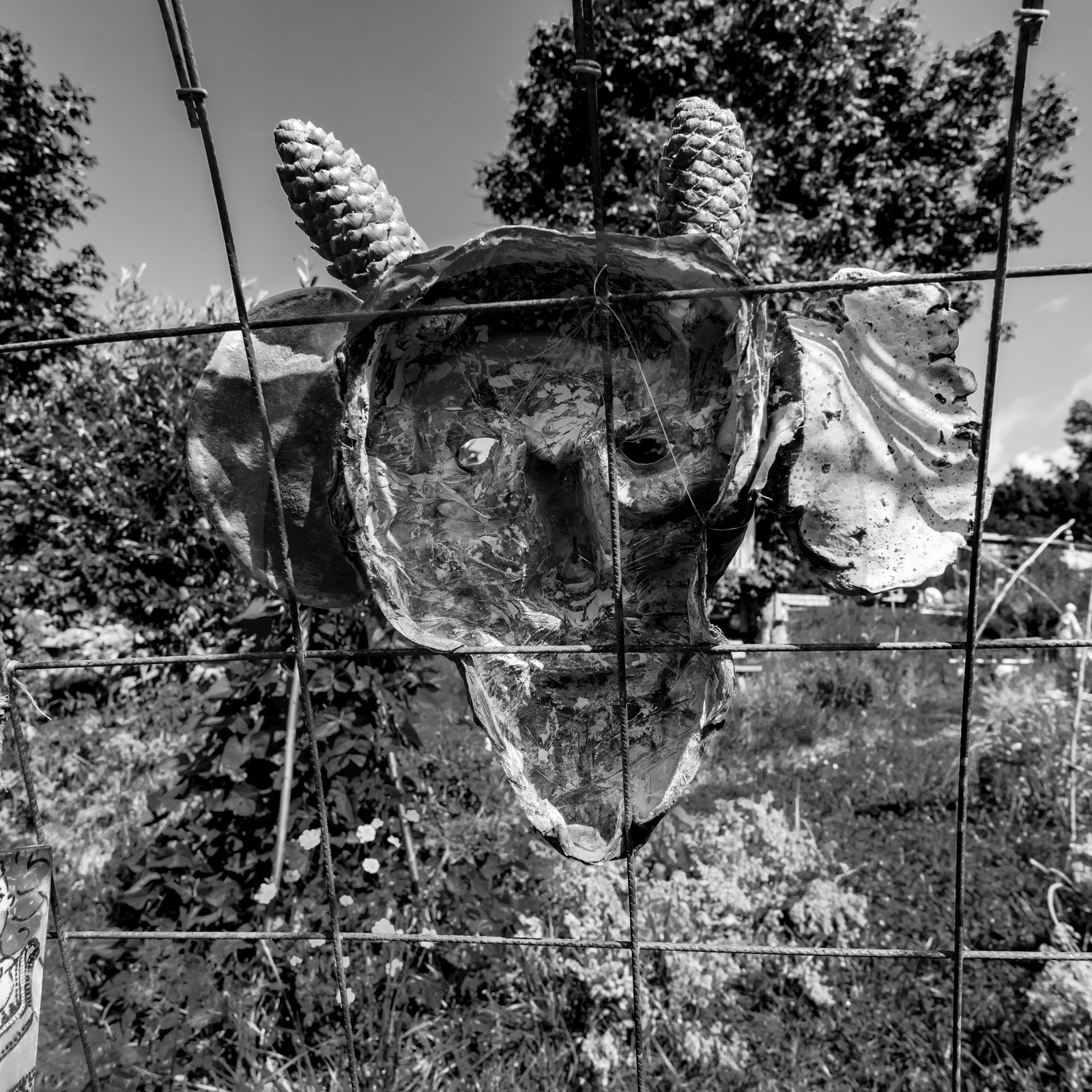 16 août 2021 : Journée des aidants