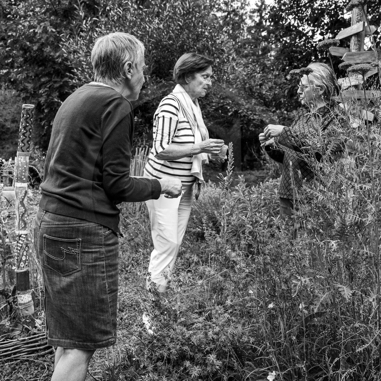 18 septembre 2023 : Journée des aidants et des aidés
