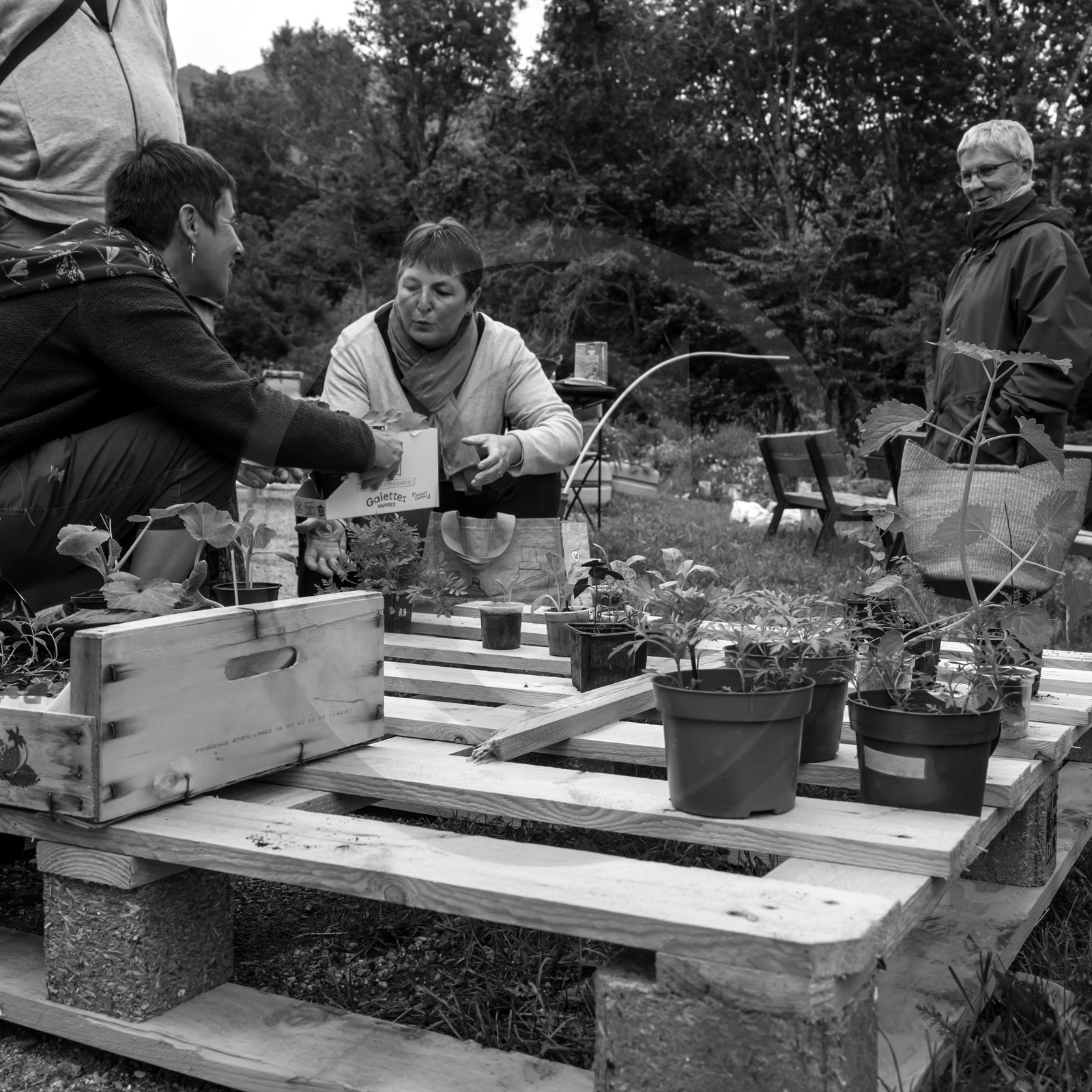 Vide-Jardin à l'Ouort