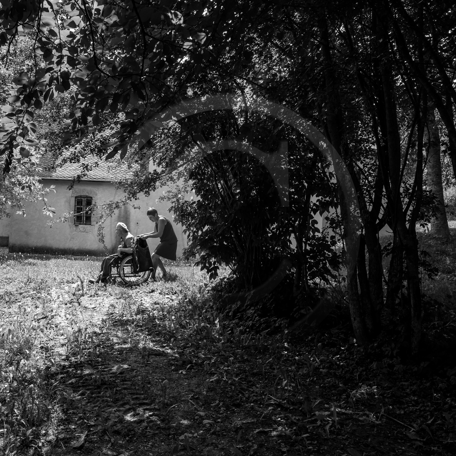Une après-midi au jardin