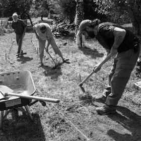 13 septembre 2017 - Chemins - Graines