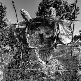 16 août 2021 : Journée des aidants