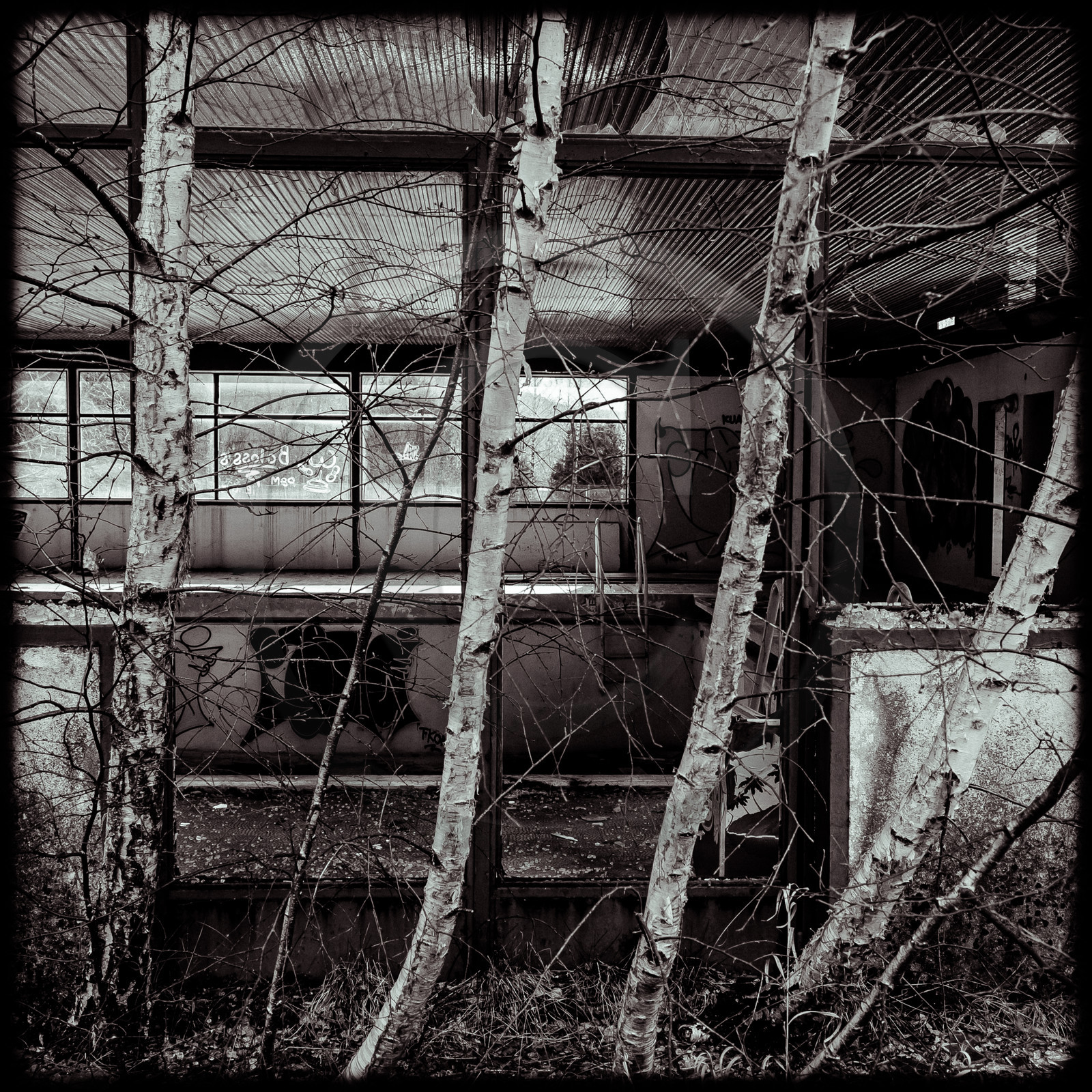 La piscine de Saint-Léger-les-Mélèzes