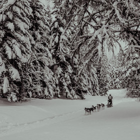 La Valgaude Traineau 2015
