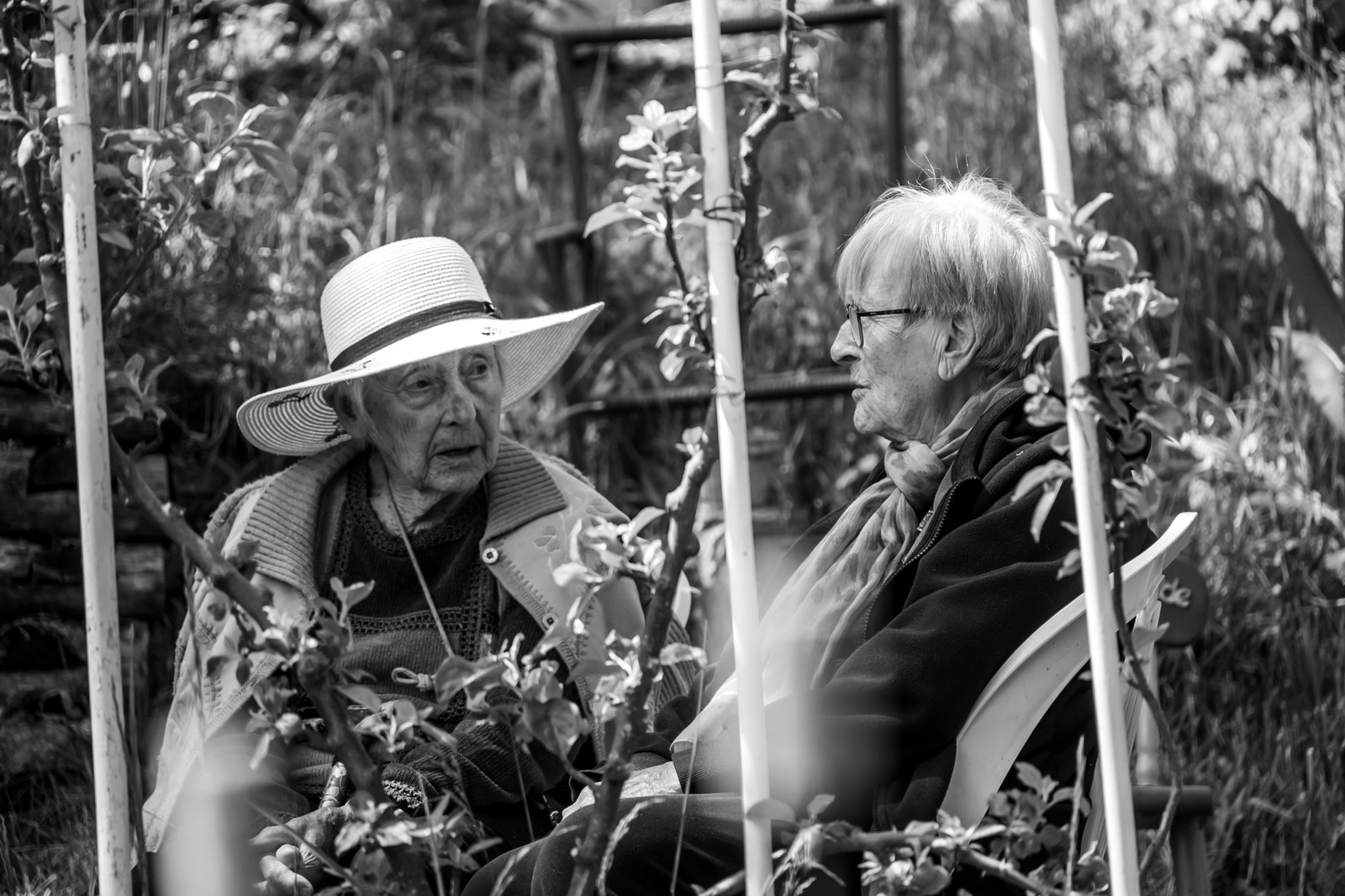 21 mai 2025 : Des photos et des contes