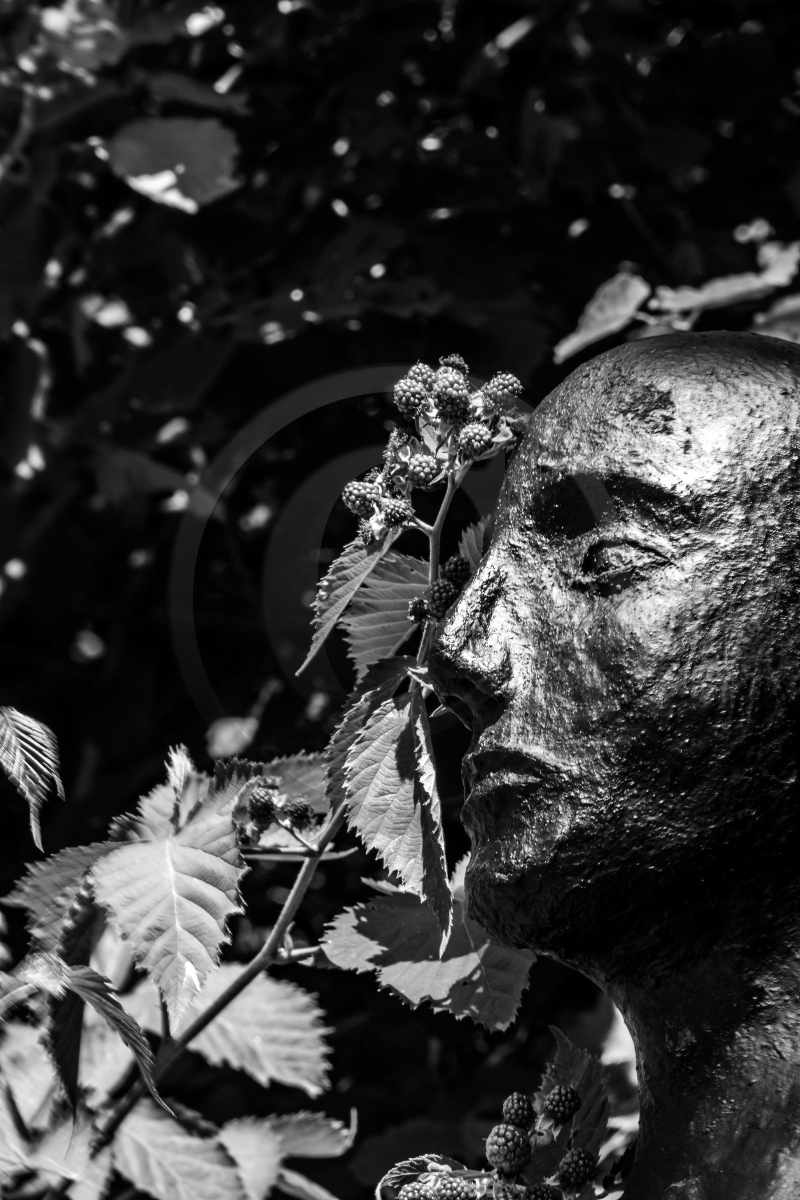 Exposition La forêt d'hommes, une création de Barbara Fougnon, artiste plasticienne