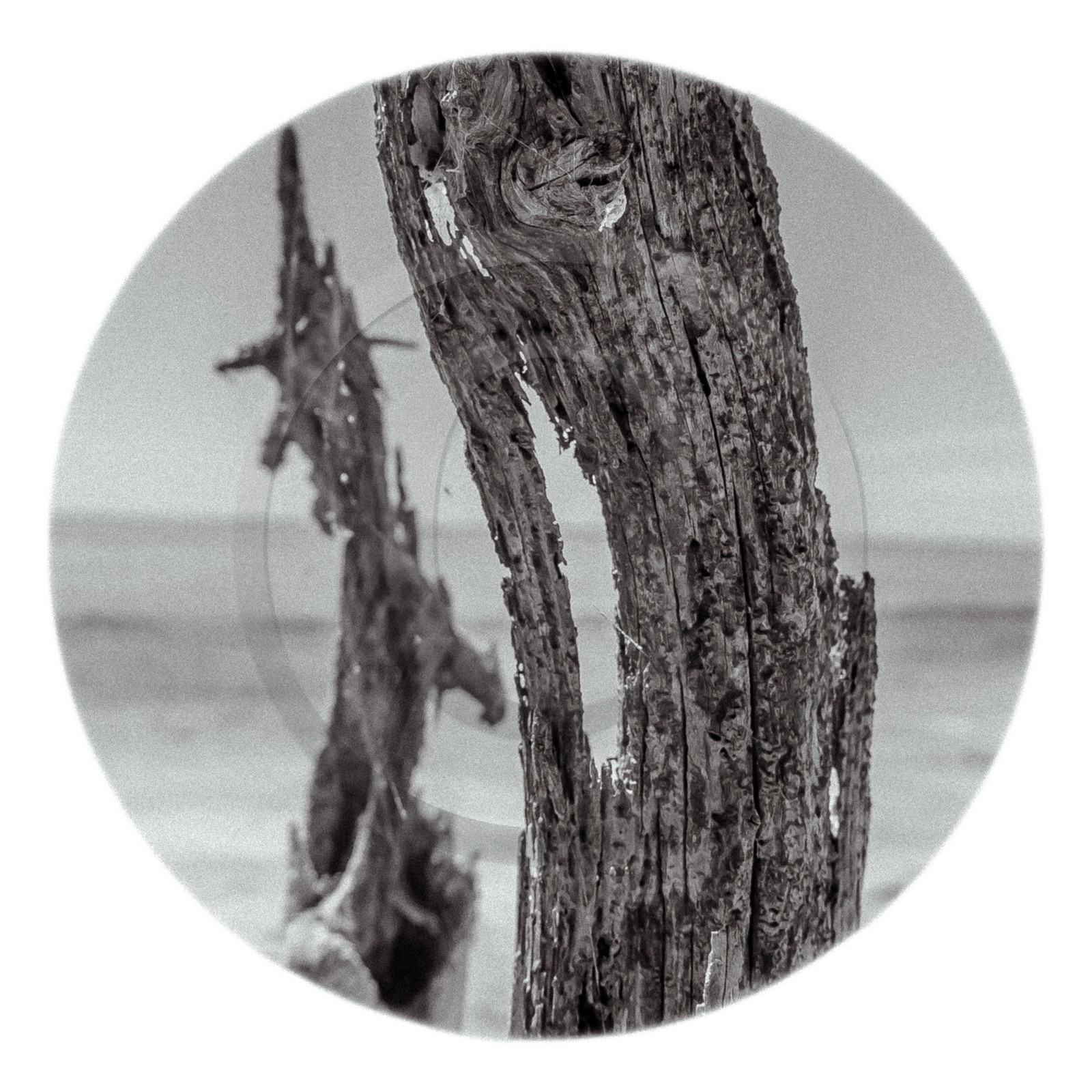 Les instants Camargue