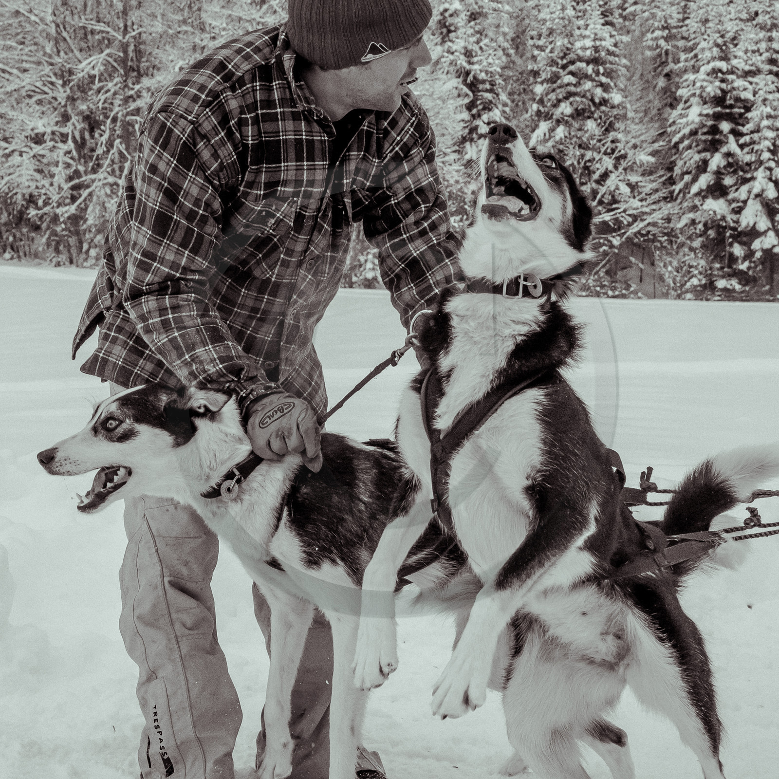 La Valgaude Traineau 2015