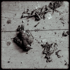 La Villa - Saint-Sébastien