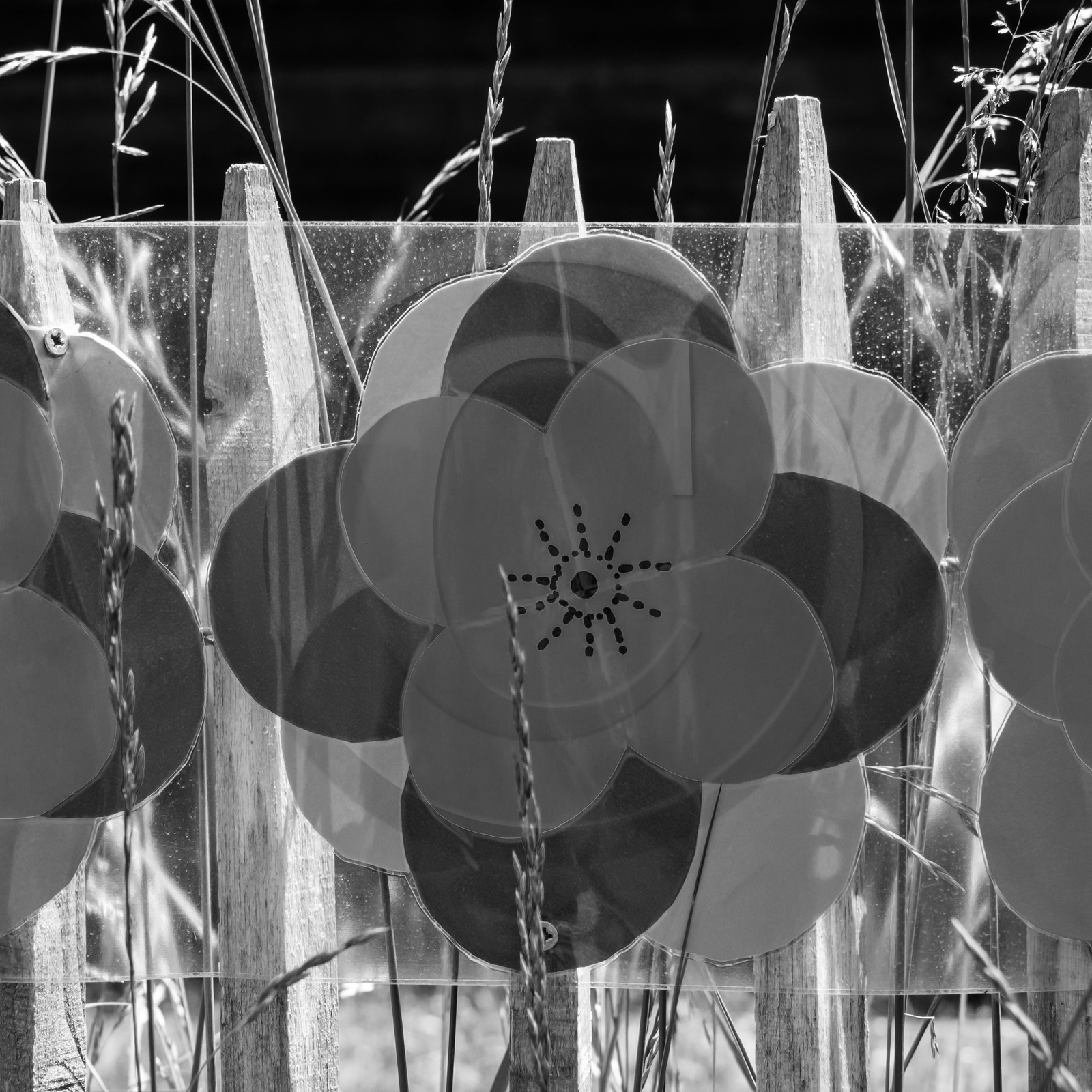 12 juin 2019 : Après-midi au jardin