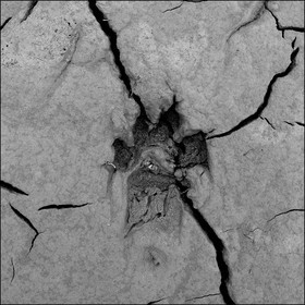 Serre-Ponçon, basses eaux