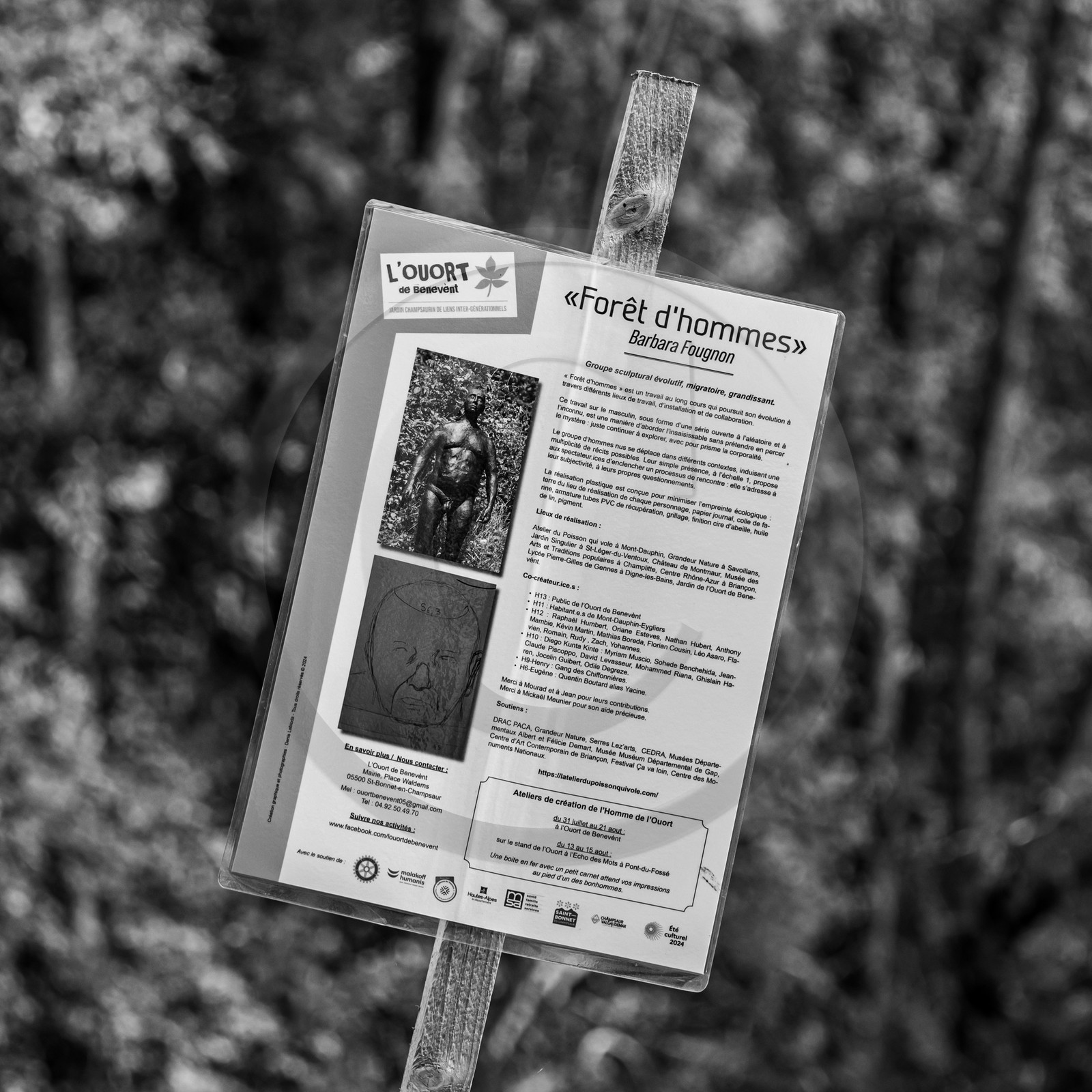 Exposition La forêt d'hommes, une création de Barbara Fougnon, artiste plasticienne