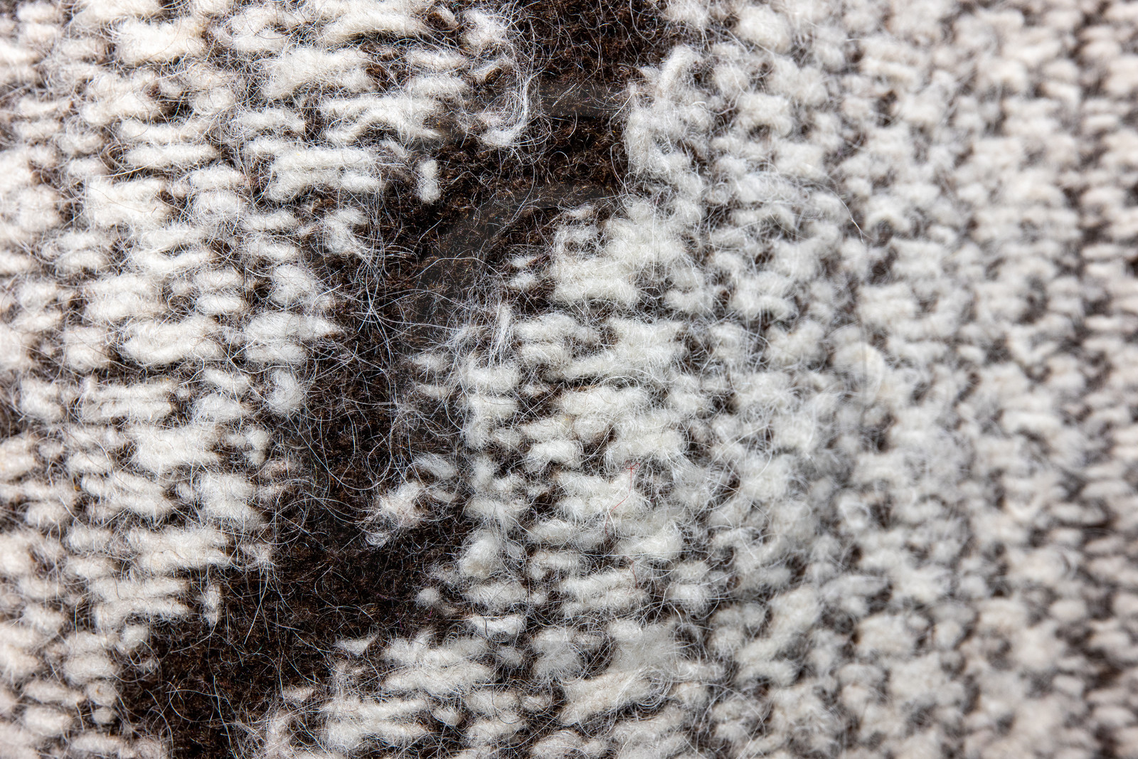 Expositions à la maison du Berger - Champoléon