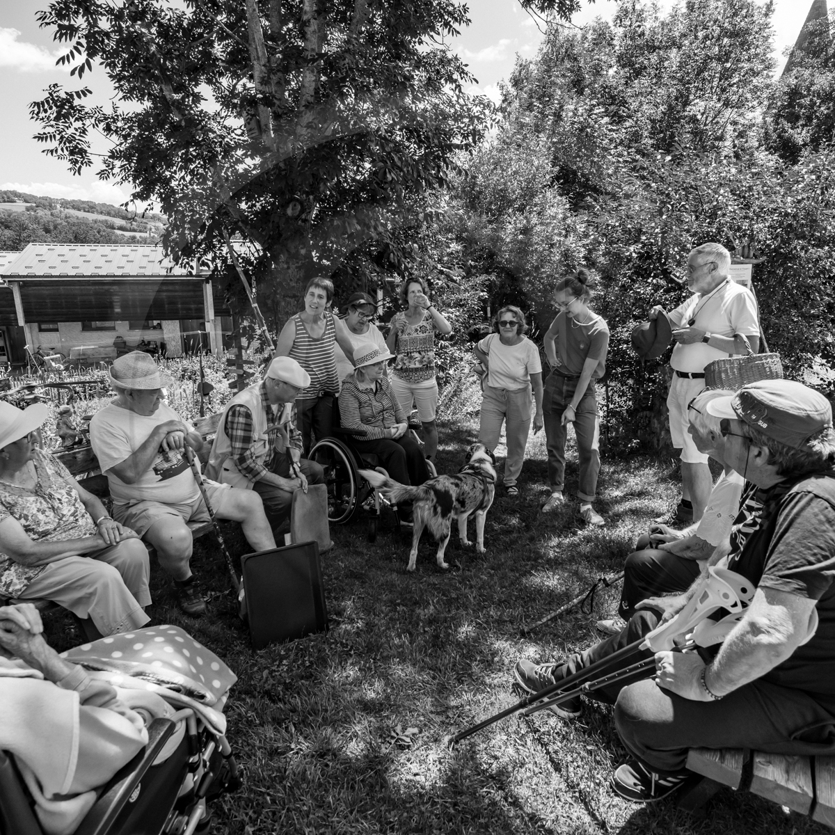 29 juin 2022 : Découverte des plantes sauvages