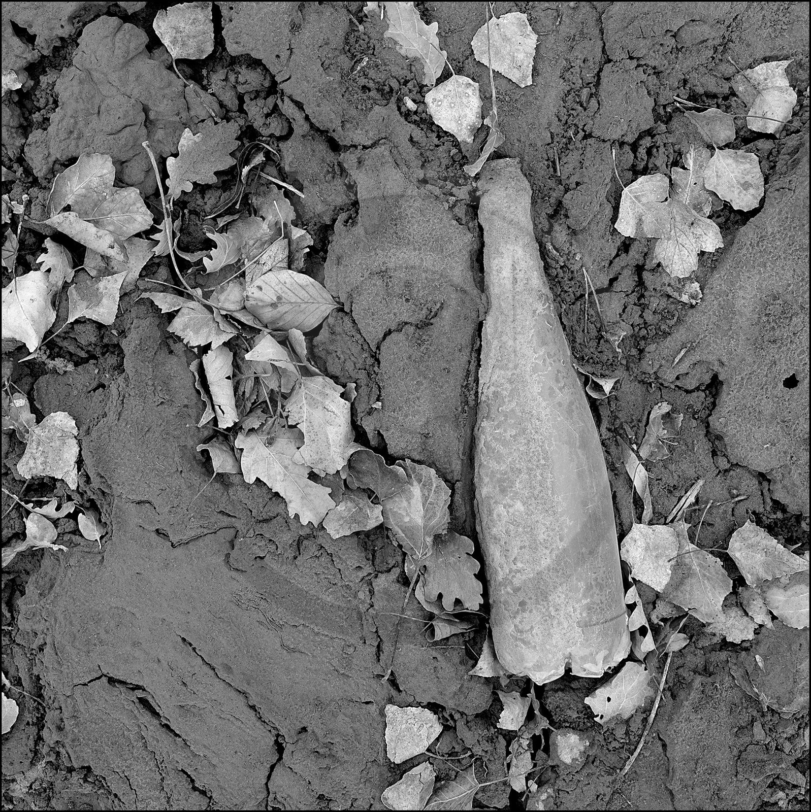 Serre-Ponçon, basses eaux