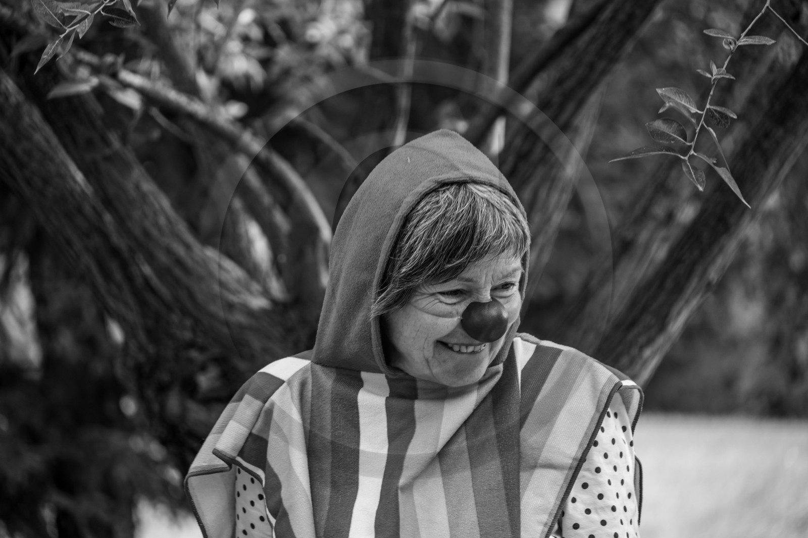 18 septembre 2024 : Des clowns à l'Ouort avec la compagnie Les nez'changent