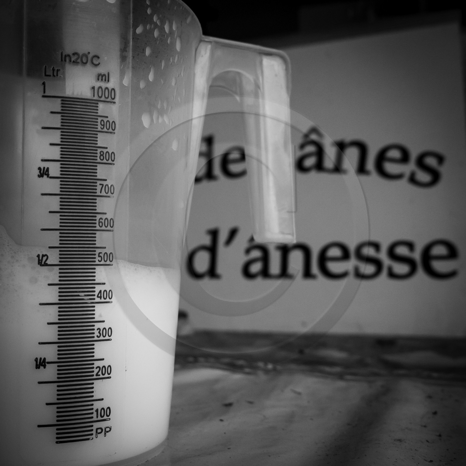 L'asinerie Le sentier des ânes