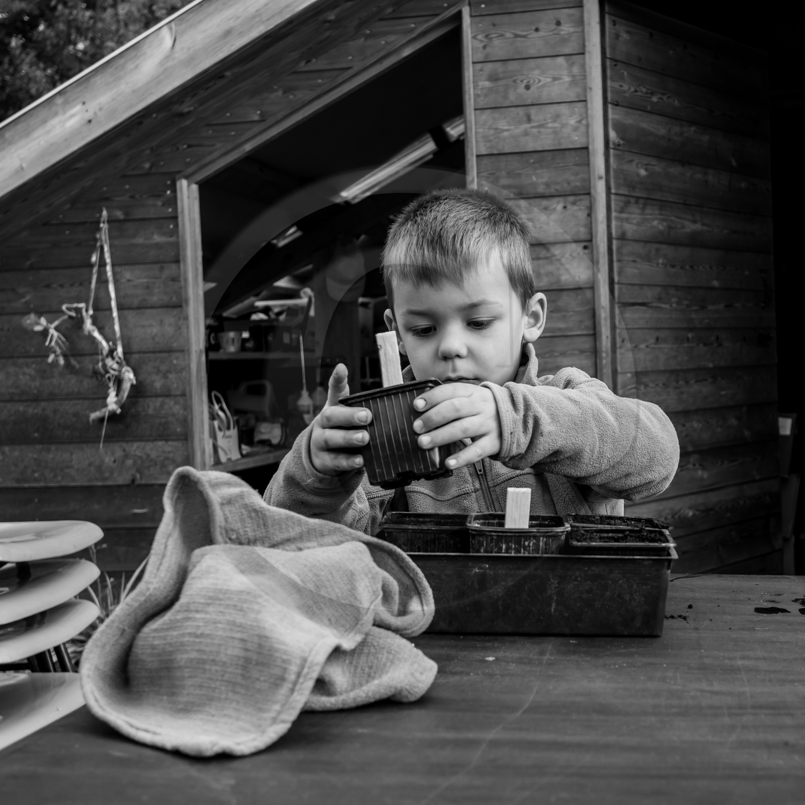 Semis, tournesols et jeux