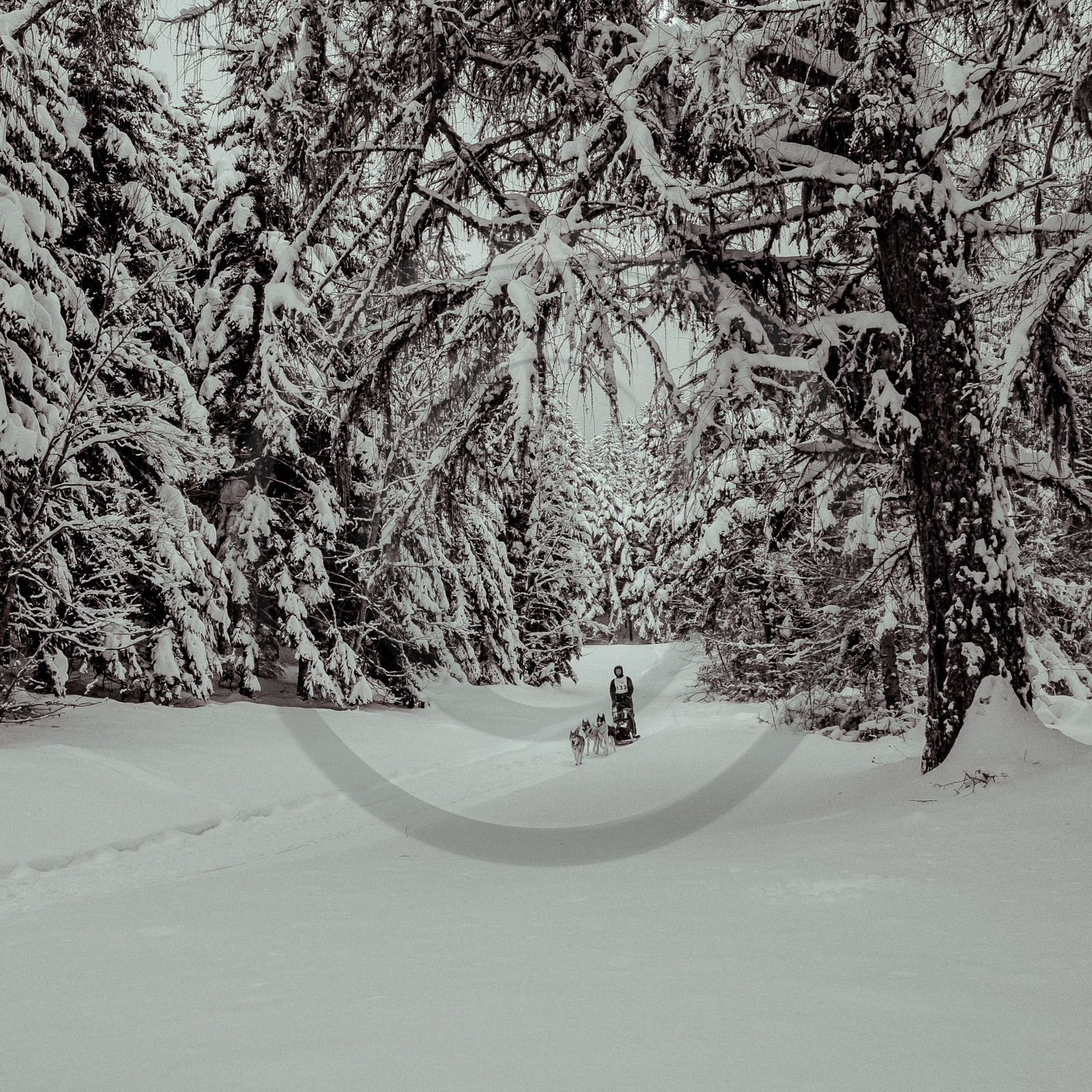 La Valgaude Traineau 2015