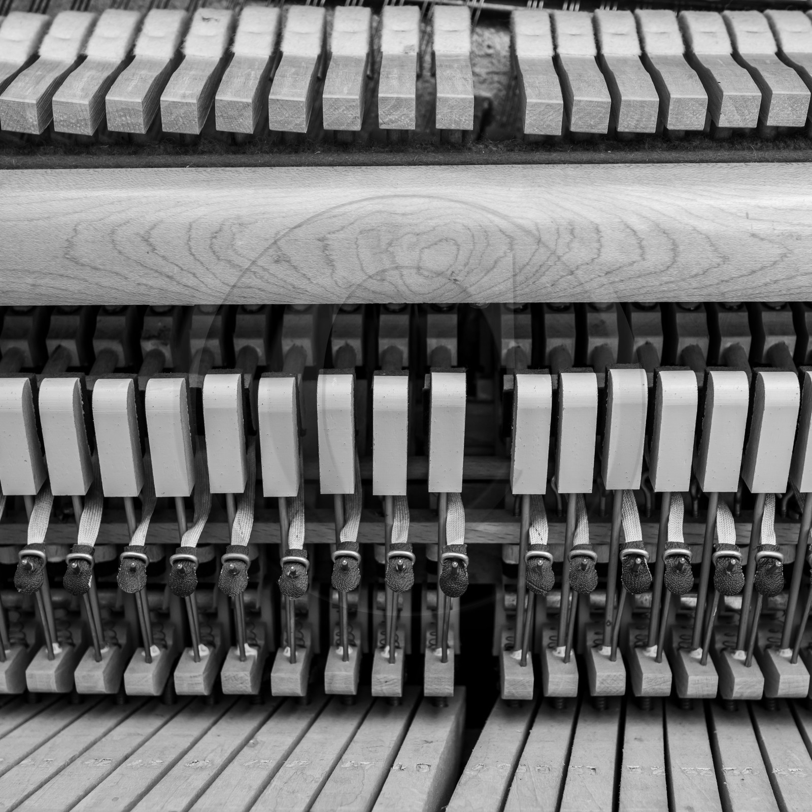 Animation musicale avec Philippe Séranne