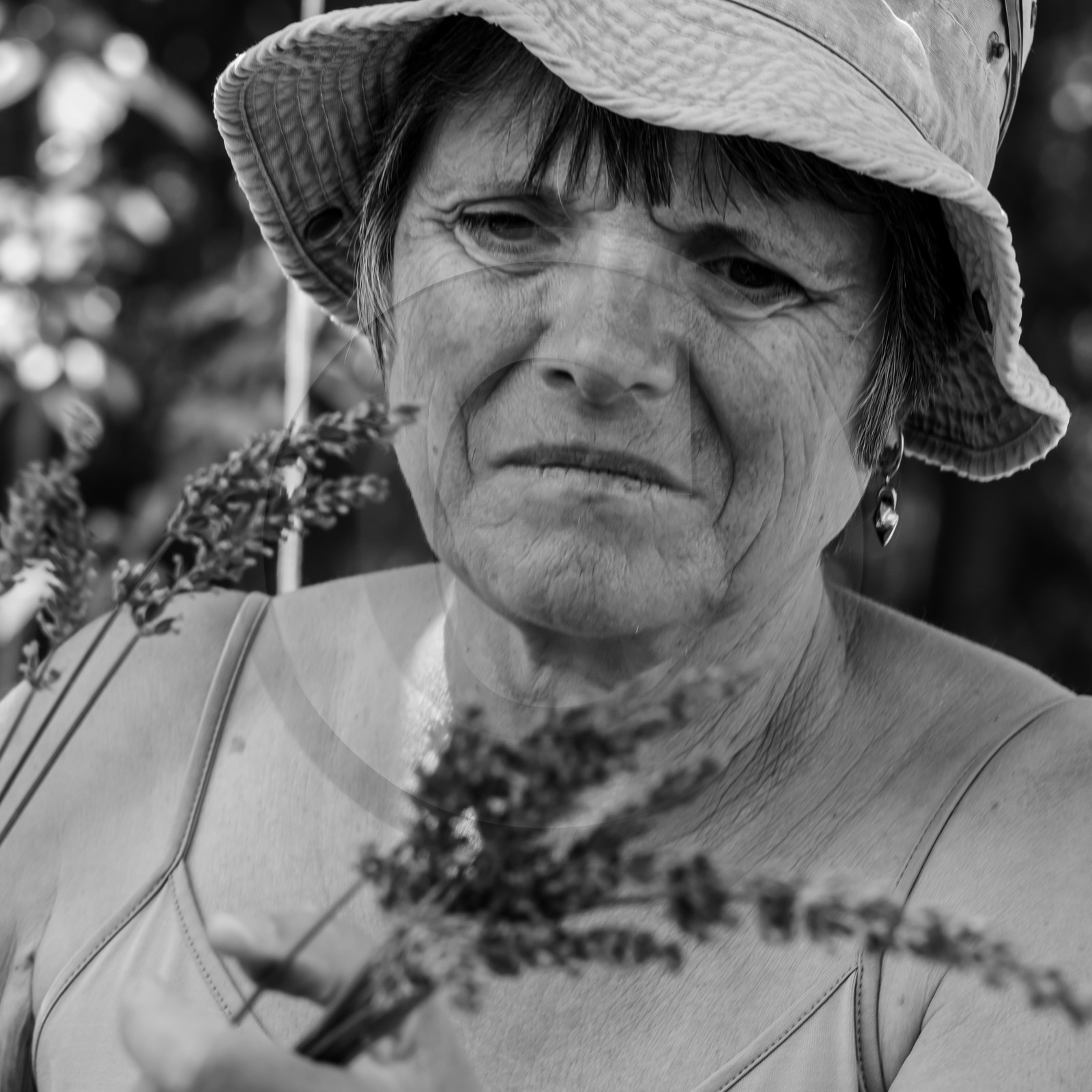 Atelier Fuseaux de lavande