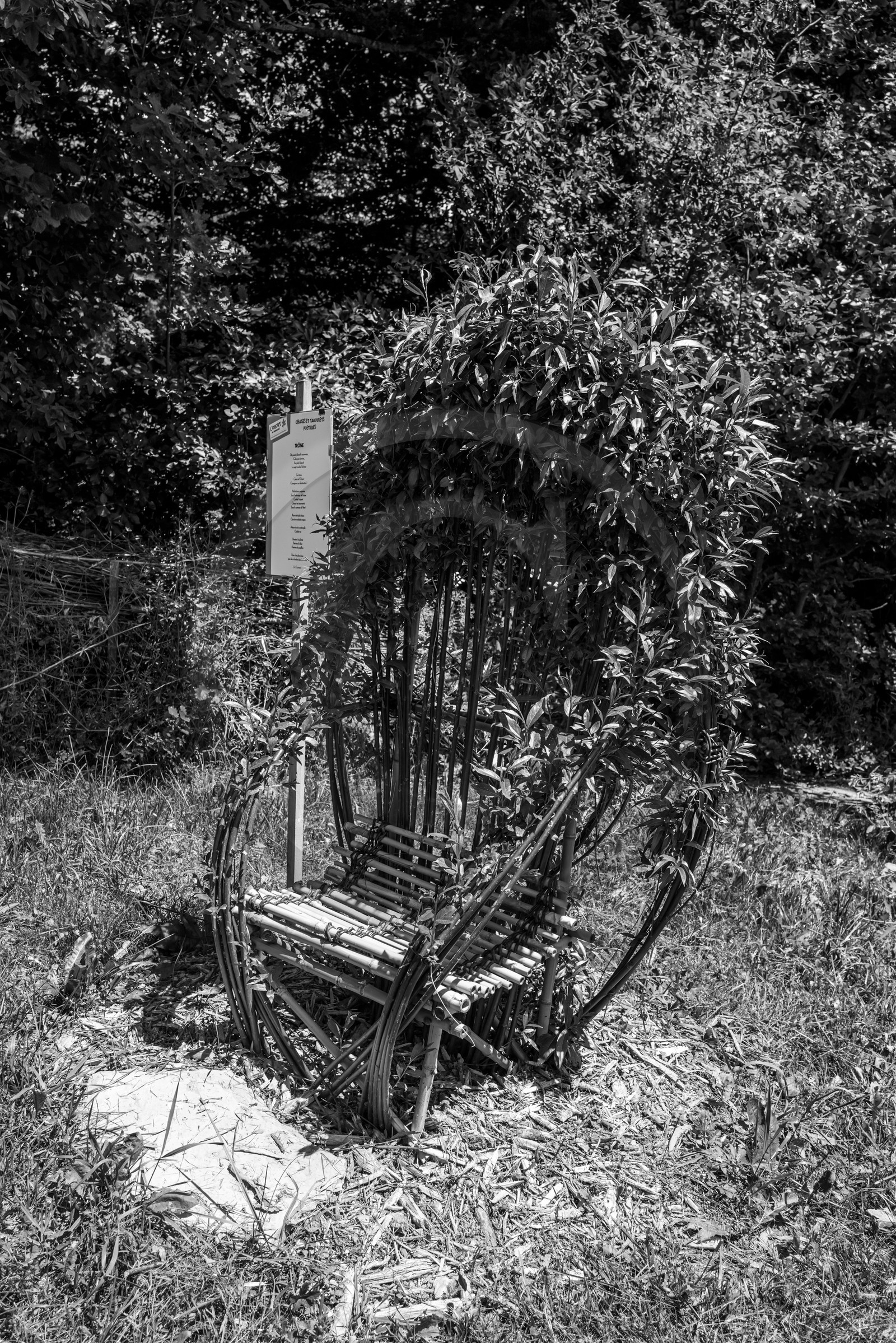 12 juin 2024 : création d'un jeu et jardinage