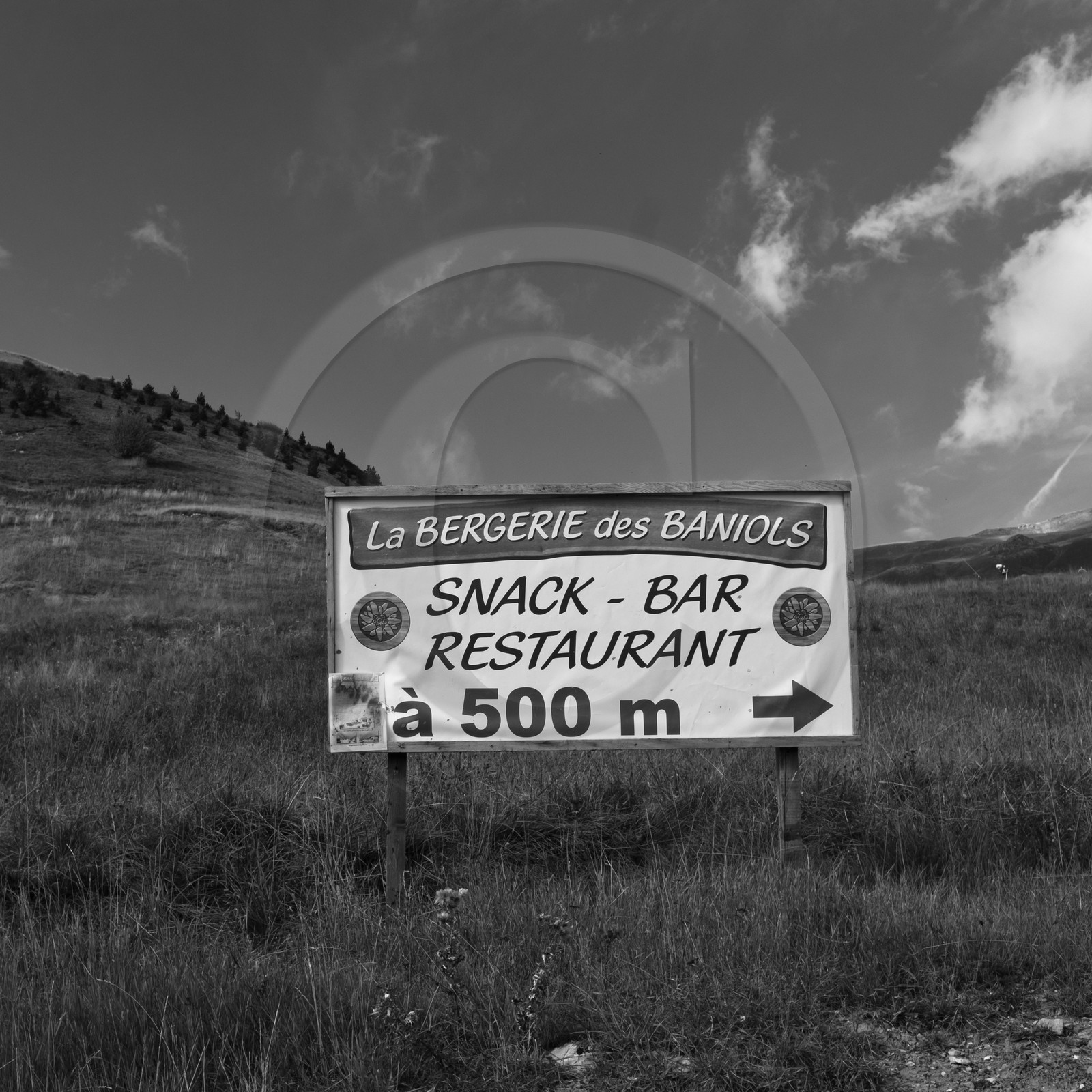 En attendant la neige