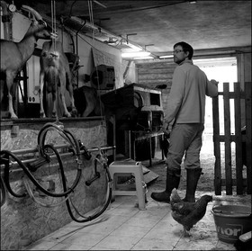 La Ferme des Cabrioles