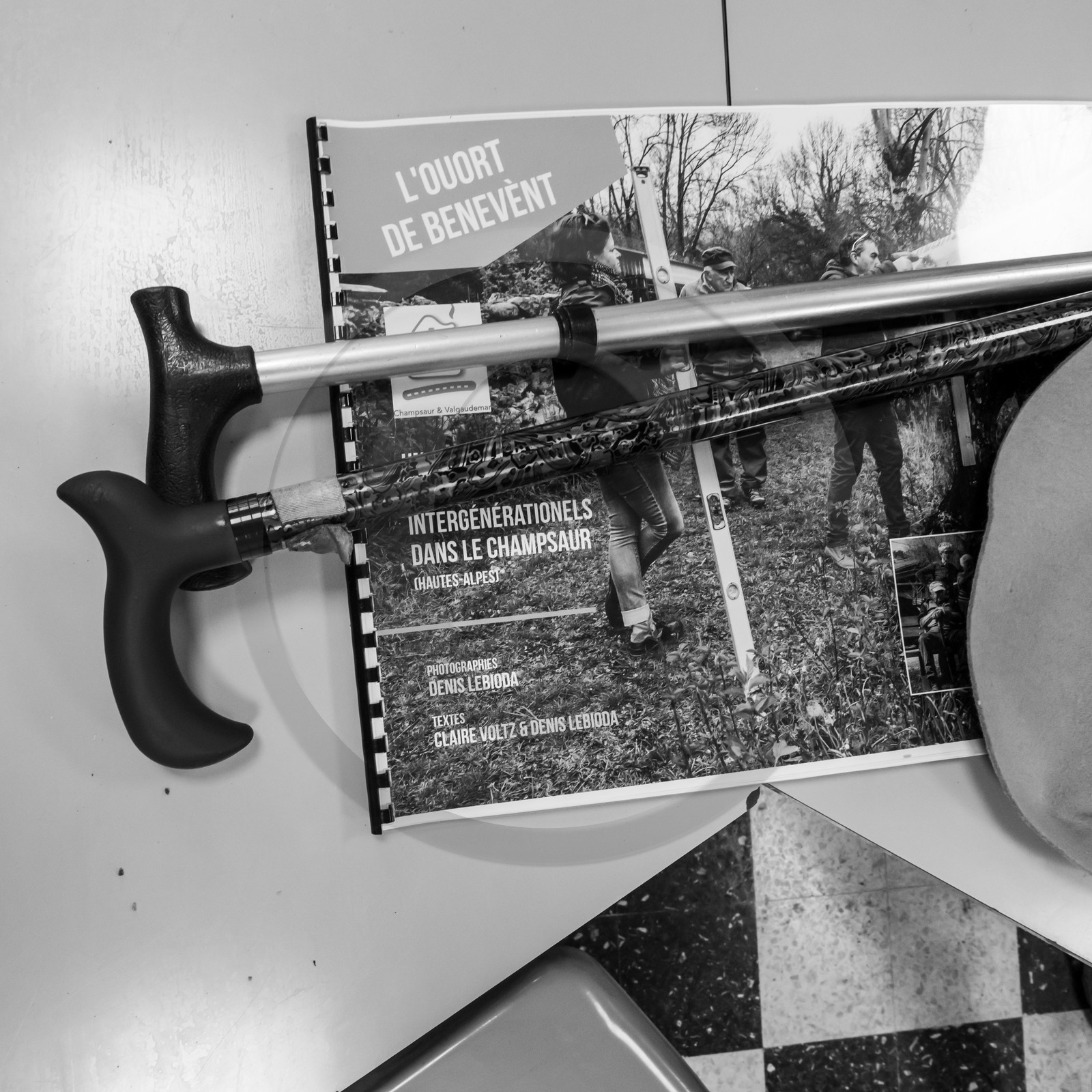 03 avril 2019 : Initiation à la greffe d'arbres fruitiers