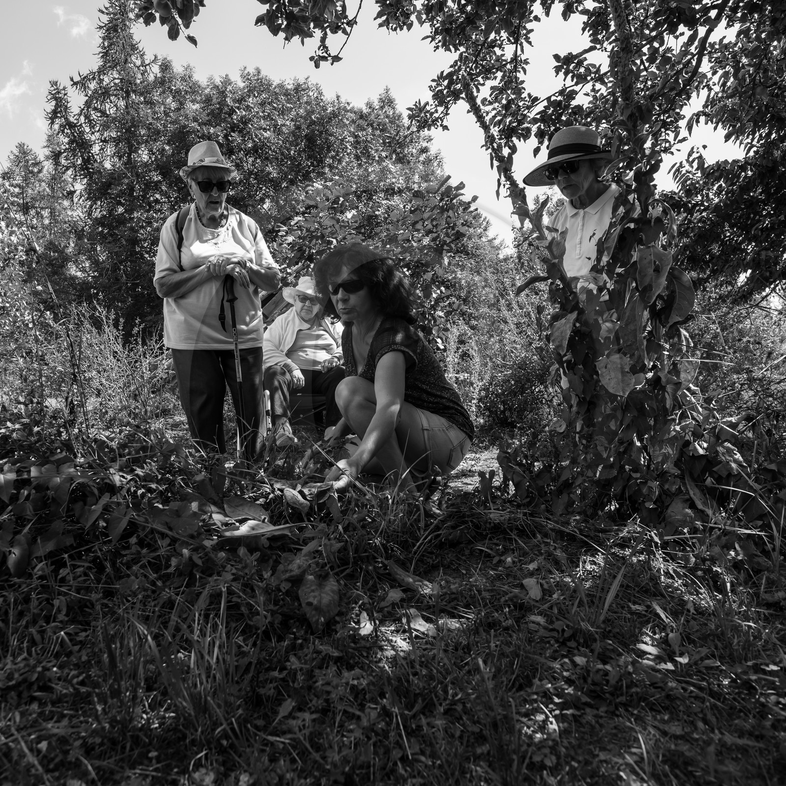 04 septembre 2019 : Visite au jardin des Hautes Terres