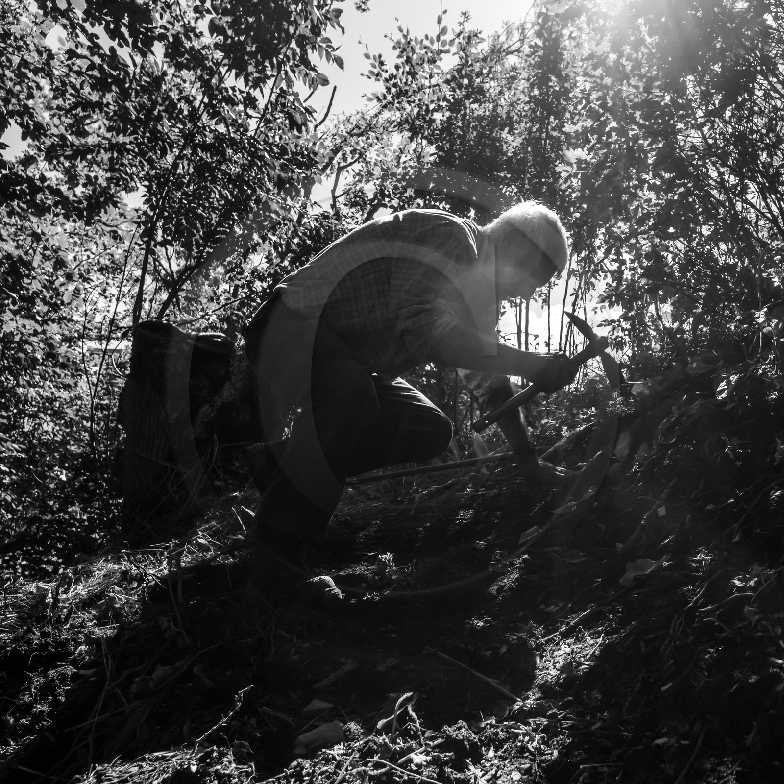 Activités au jardin