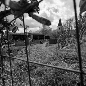 14 avril 2021 : collages, taille, jardinage