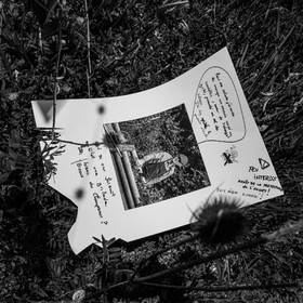 15 mai 2023 : Journée des aidants et des aidés