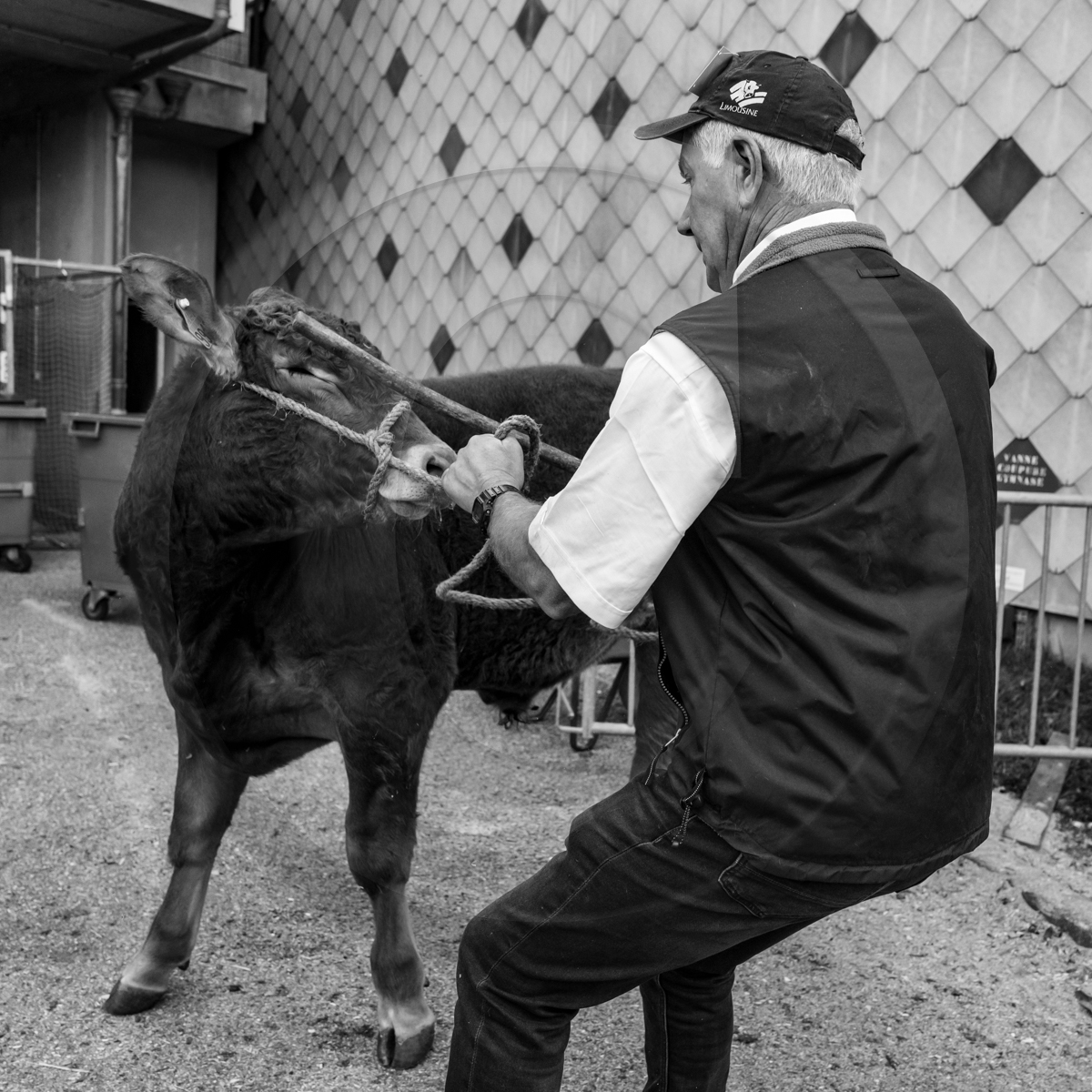 Rencontres paysannes à Saint-Bonnet en Champsaur