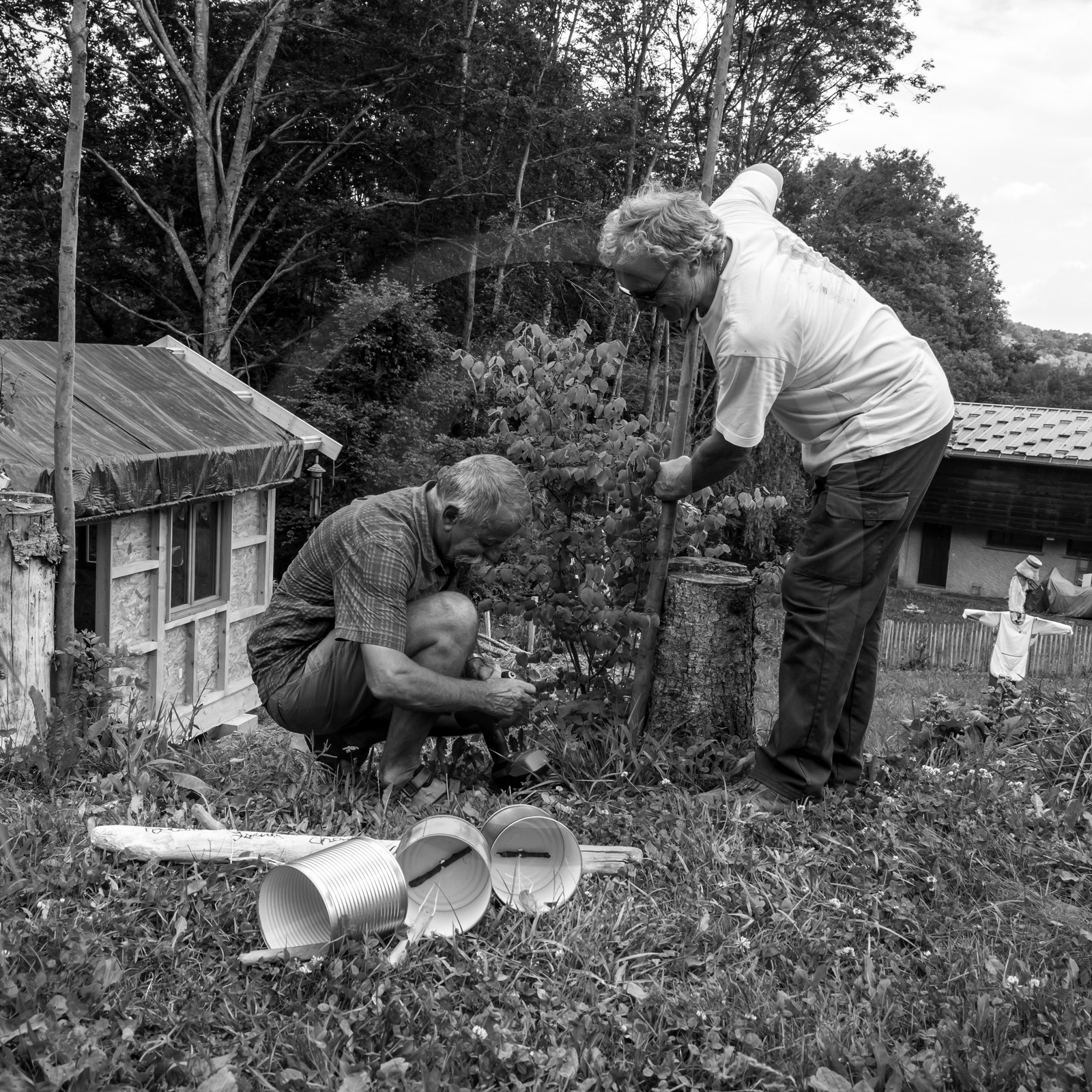 Une après-midi au jardin
