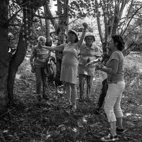 Une après-midi au jardin