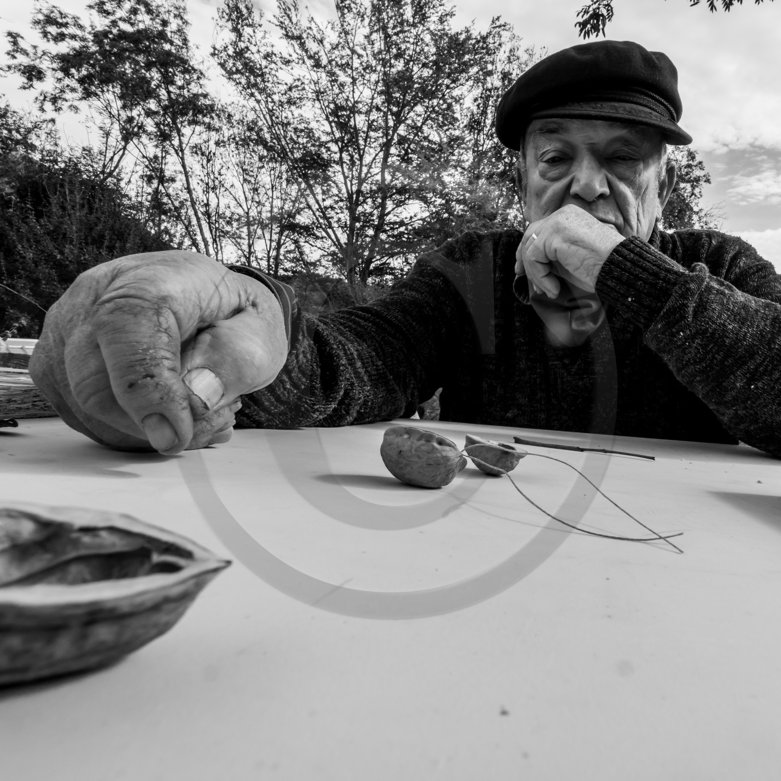 Semis, tournesols et jeux