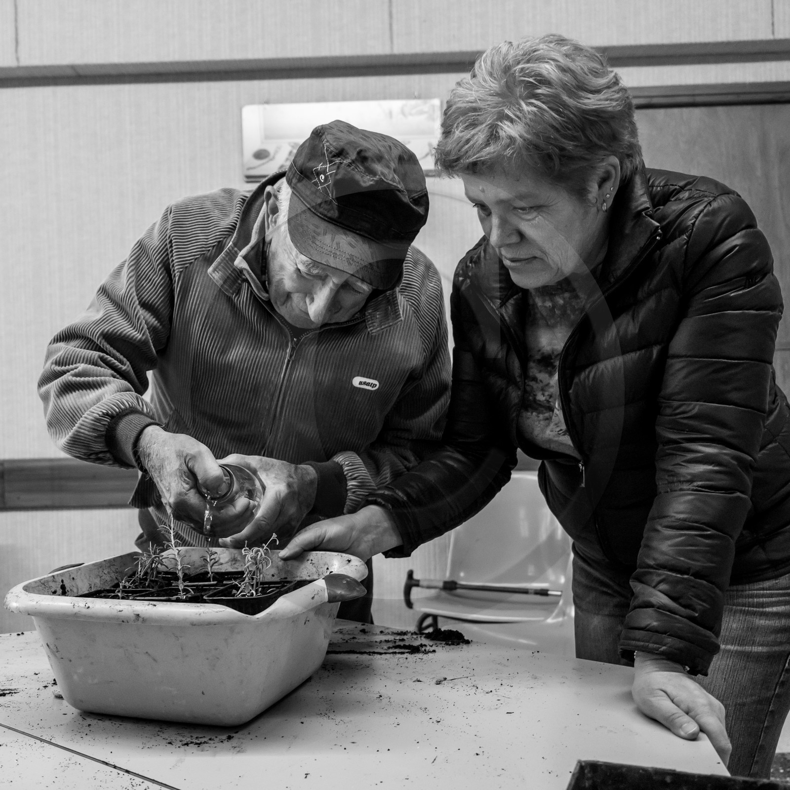 Atelier repiquage et semis - 26 04 2017