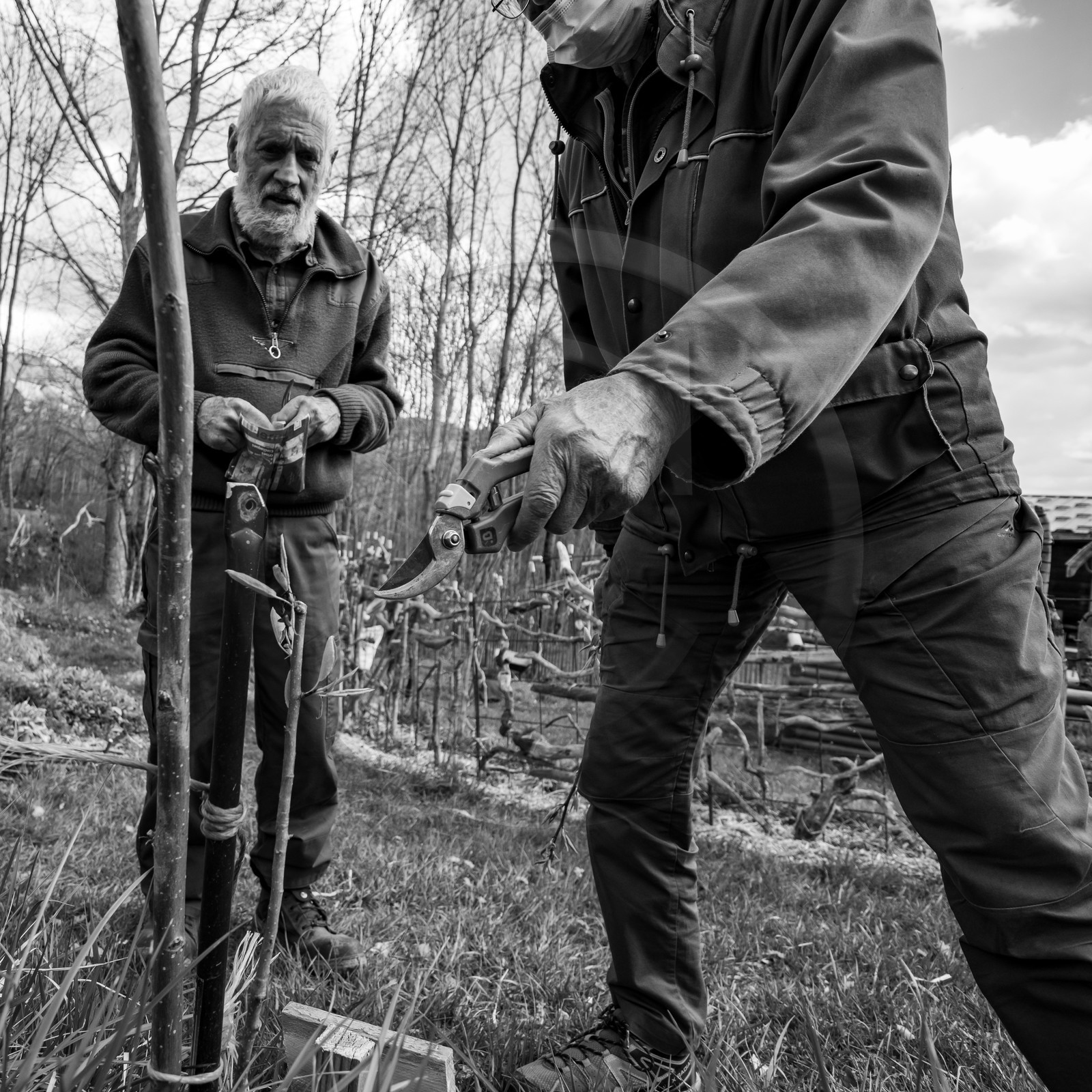 14 avril 2021 : collages, taille, jardinage