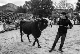 Rencontres paysannes à Saint-Bonnet en Champsaur