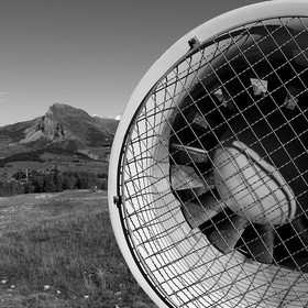 En attendant la neige