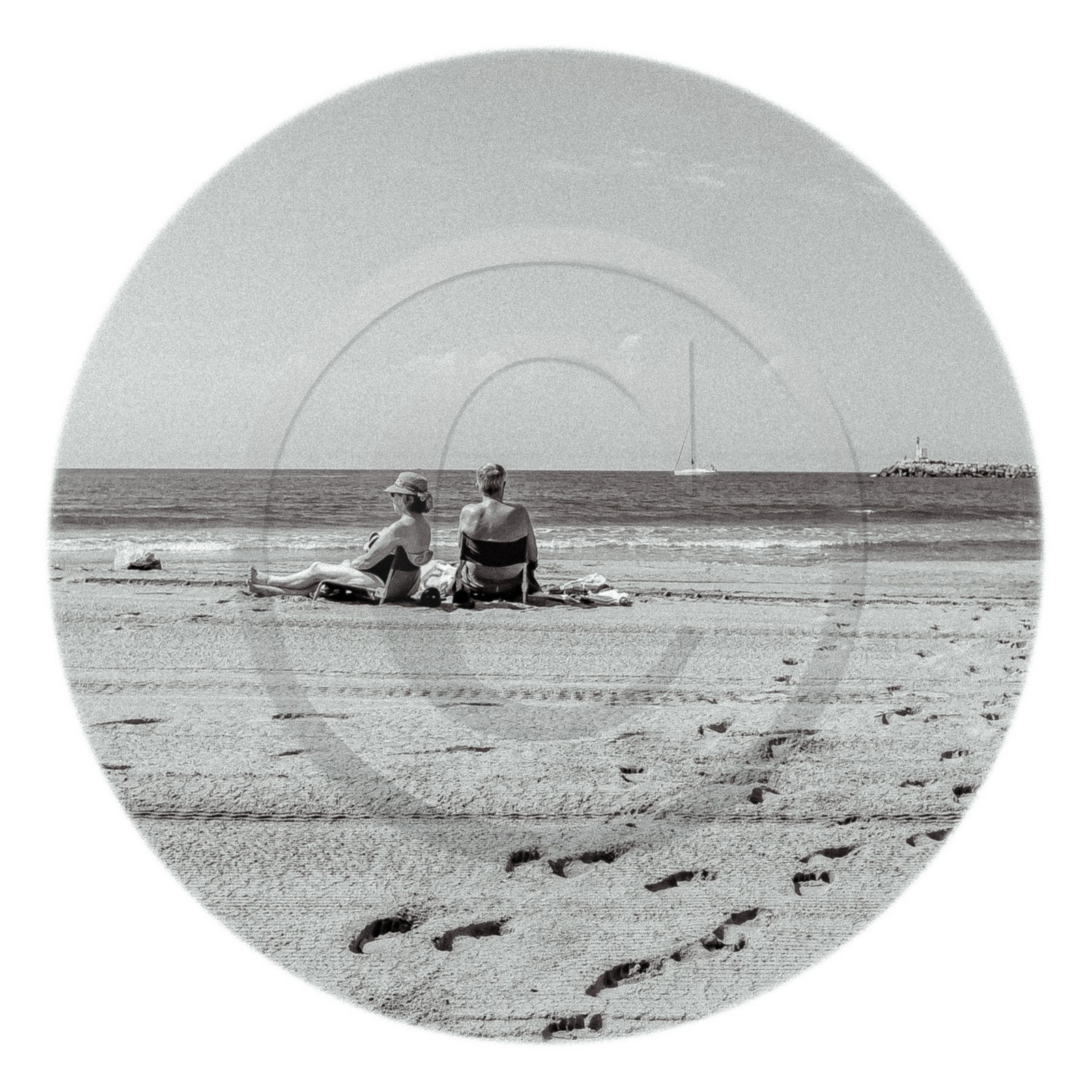 Les instants Camargue