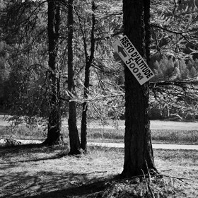 En attendant la neige