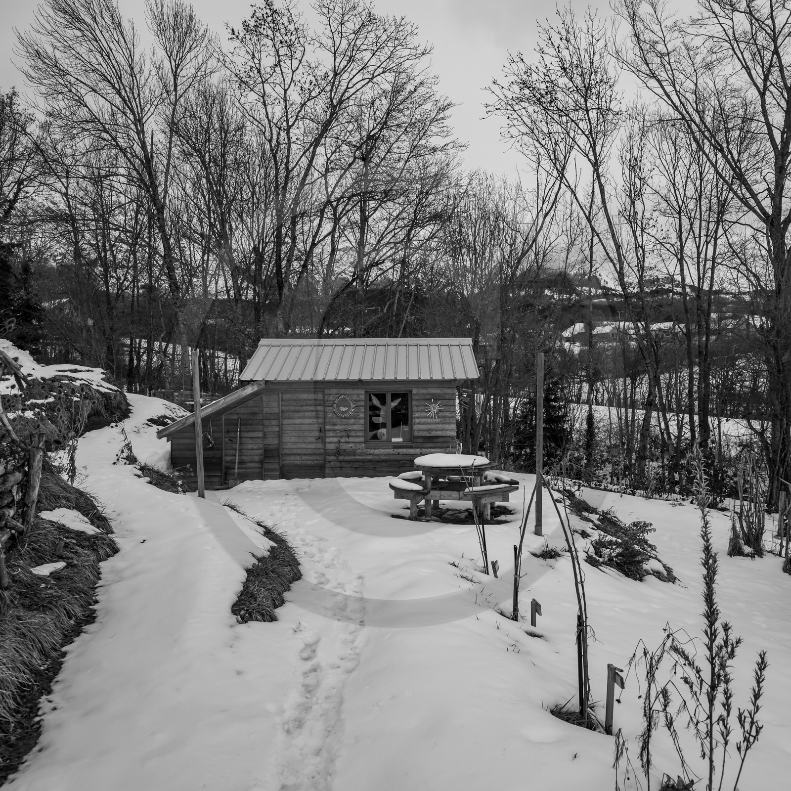 21 janvier 2021 : l'Ouort sous la neige
