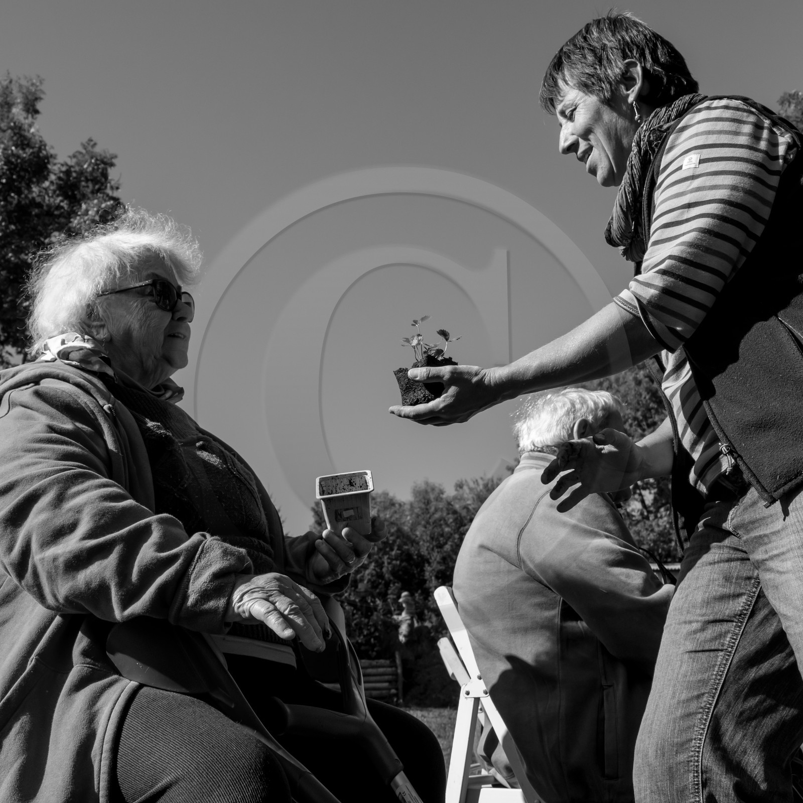 20 septembre 2017 - Jardinage